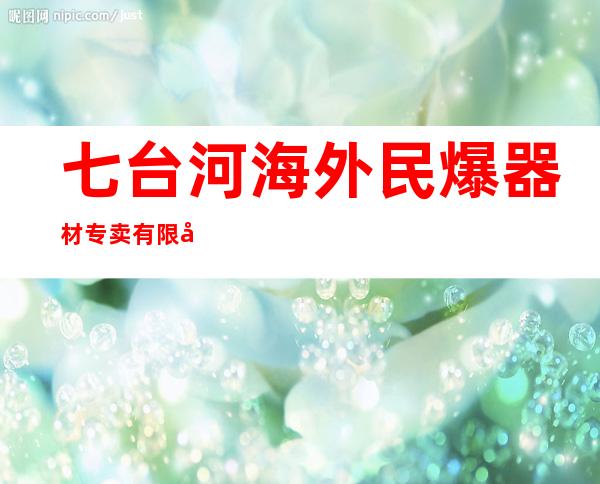 七台河海外民爆器材专卖有限公司