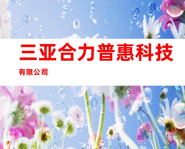三亚合力普惠科技有限公司