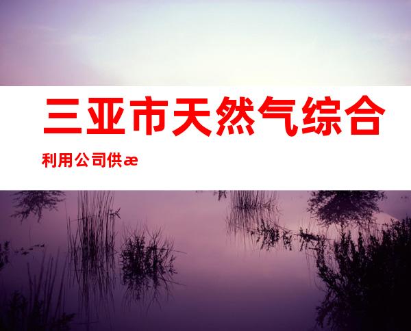 三亚市天然气综合利用公司供气站