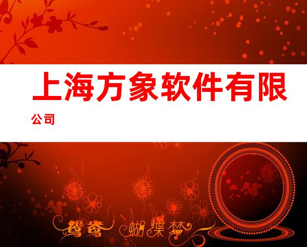 上海方象软件有限公司