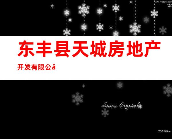 东丰县天城房地产开发有限公司