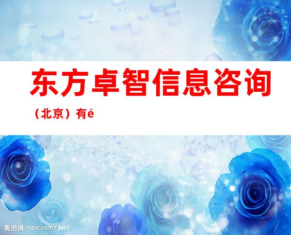 东方卓智信息咨询（北京）有限公司哈尔滨分公司