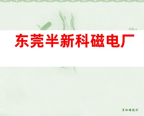 东莞半新科磁电厂