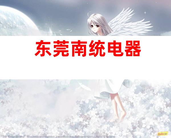东莞南统电器