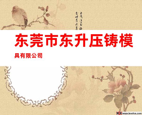 东莞市东升压铸模具有限公司