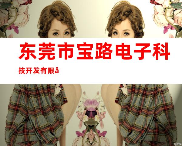 东莞市宝路电子科技开发有限公司
