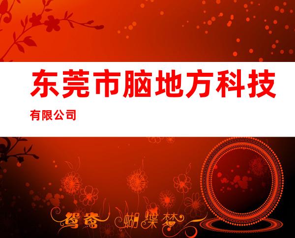 东莞市脑地方科技有限公司