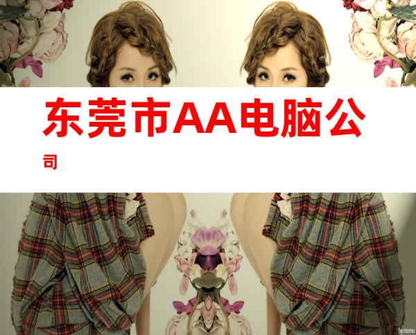 东莞市AA电脑公司