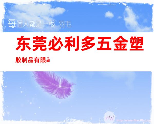 东莞必利多五金塑胶制品有限公司