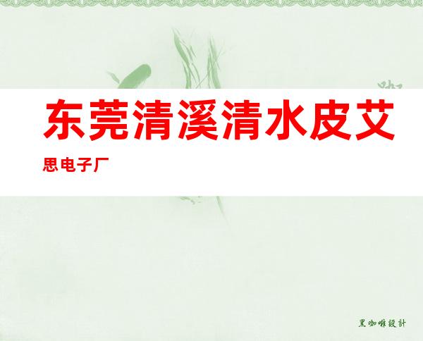 东莞清溪清水皮艾思电子厂