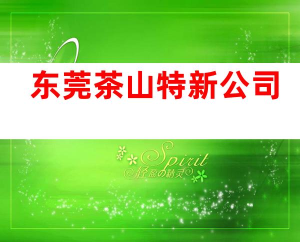 东莞茶山特新公司