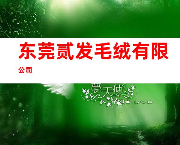 东莞贰发毛绒有限公司