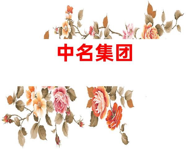 中名集团