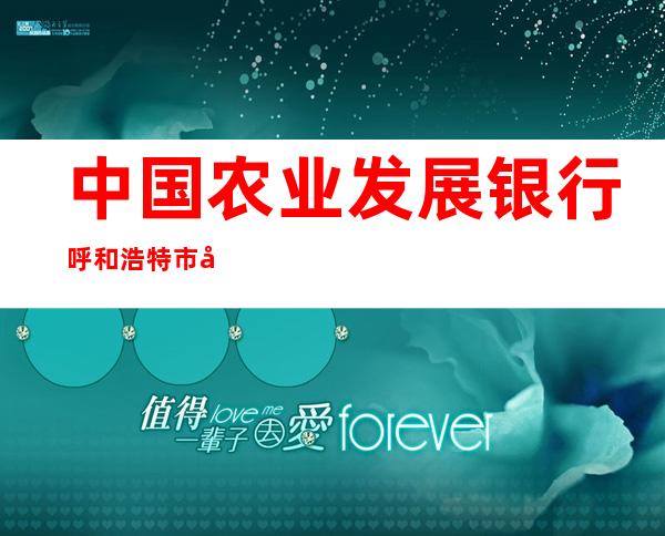 中国农业发展银行呼和浩特市兴安南路支行