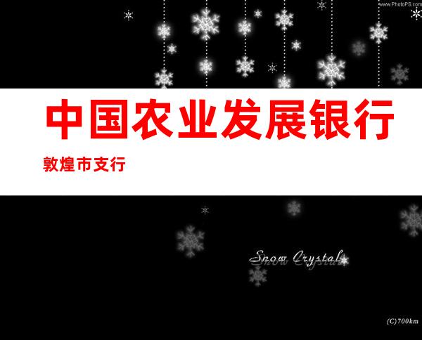 中国农业发展银行敦煌市支行