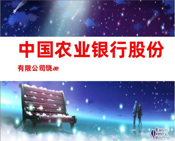 中国农业银行股份有限公司饶河县支行