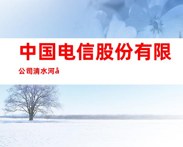 中国电信股份有限公司清水河分公司滨河北营业厅