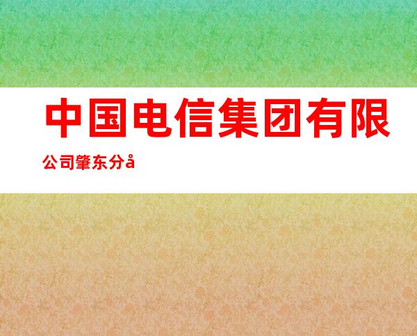 中国电信集团有限公司肇东分公司