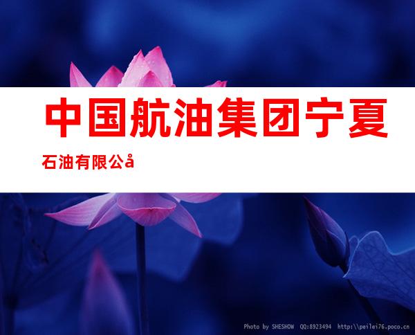 中国航油集团宁夏石油有限公司