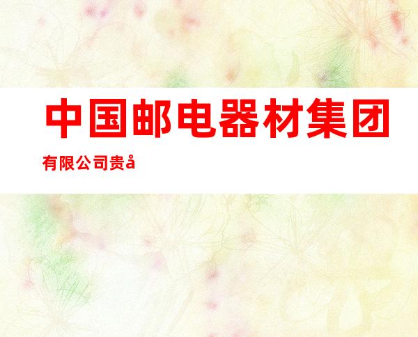 中国邮电器材集团有限公司贵州分公司