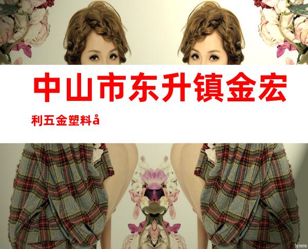 中山市东升镇金宏利五金塑料厂