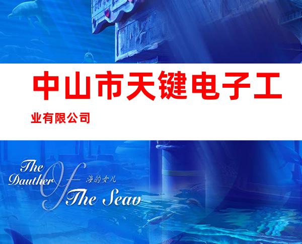中山市天键电子工业有限公司