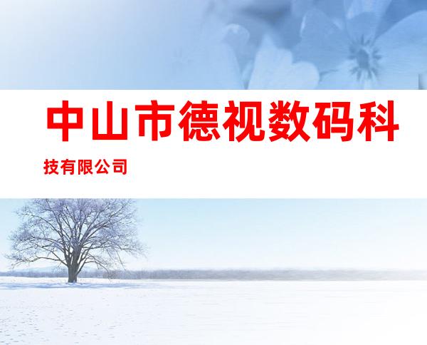 中山市德视数码科技有限公司