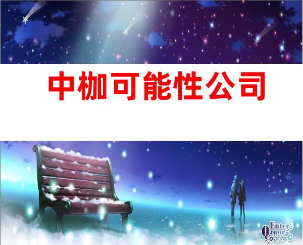 中枷可能性公司