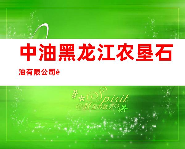 中油黑龙江农垦石油有限公司金沙加油站