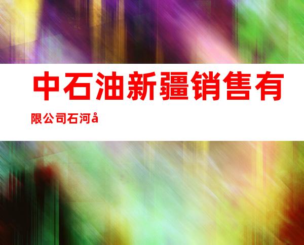 中石油新疆销售有限公司石河子分公司北六路加油站