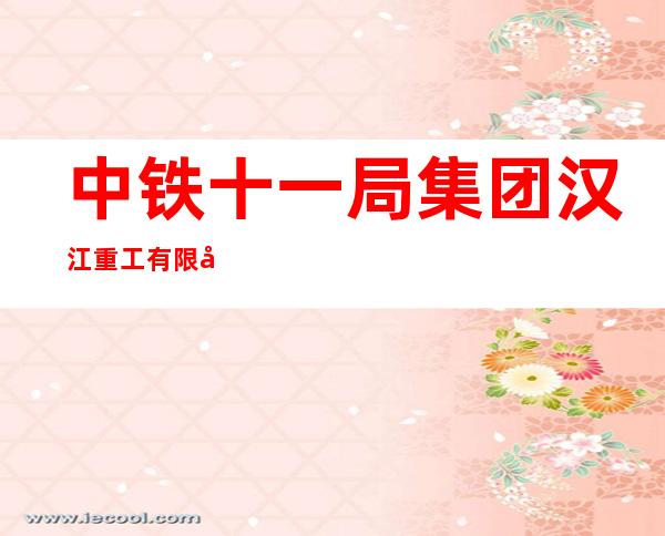 中铁十一局集团汉江重工有限公司新疆分公司