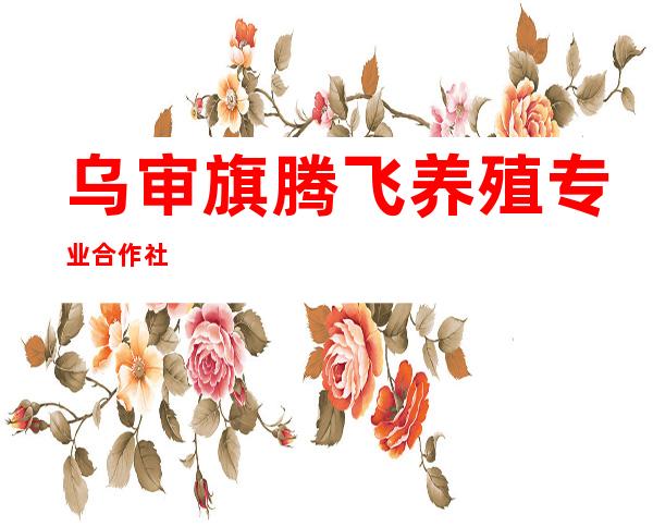 乌审旗腾飞养殖专业合作社