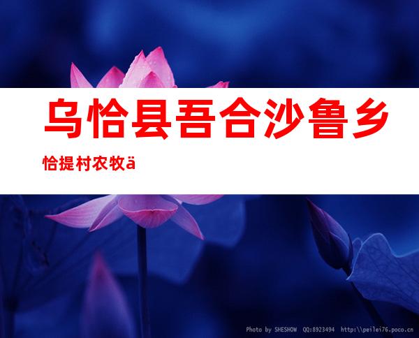 乌恰县吾合沙鲁乡恰提村农牧业农民专业合作社