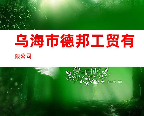 乌海市德邦工贸有限公司