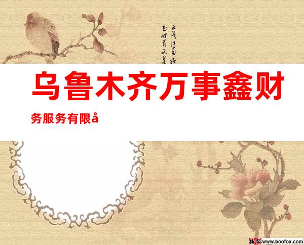 乌鲁木齐万事鑫财务服务有限公司