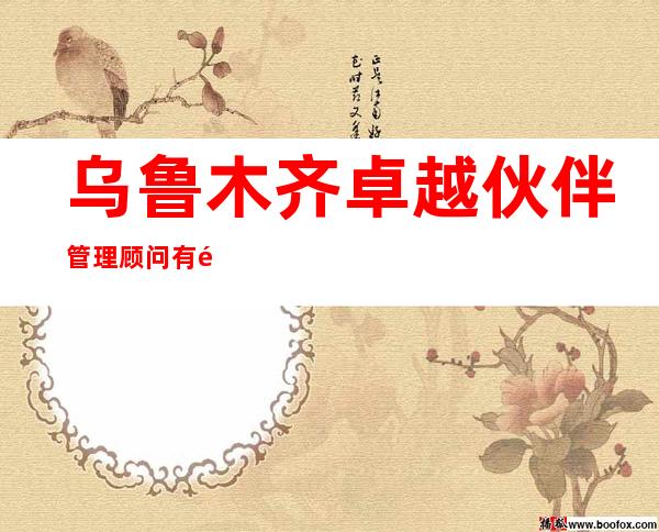 乌鲁木齐卓越伙伴管理顾问有限公司
