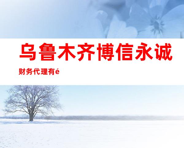 乌鲁木齐博信永诚财务代理有限公司