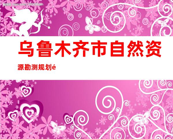乌鲁木齐市自然资源勘测规划院