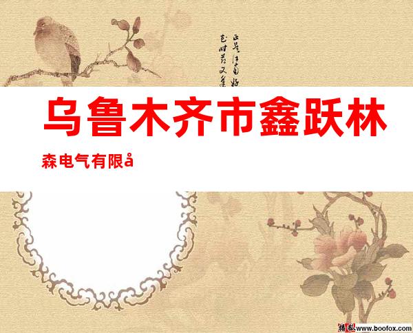 乌鲁木齐市鑫跃林森电气有限公司