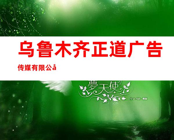 乌鲁木齐正道广告传媒有限公司