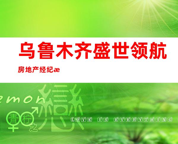 乌鲁木齐盛世领航房地产经纪有限公司