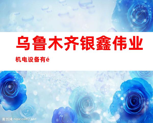 乌鲁木齐银鑫伟业机电设备有限公司