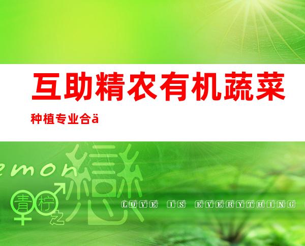 互助精农有机蔬菜种植专业合作社