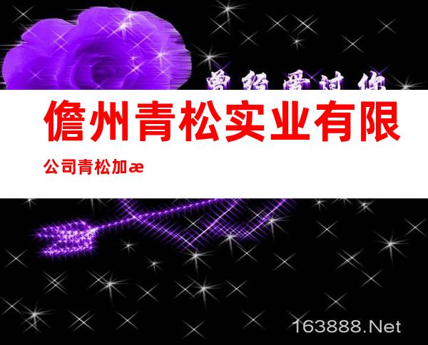 儋州青松实业有限公司青松加油站