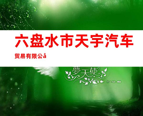 六盘水市天宇汽车贸易有限公司