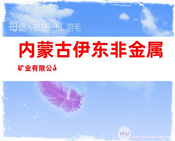 内蒙古伊东非金属矿业有限公司