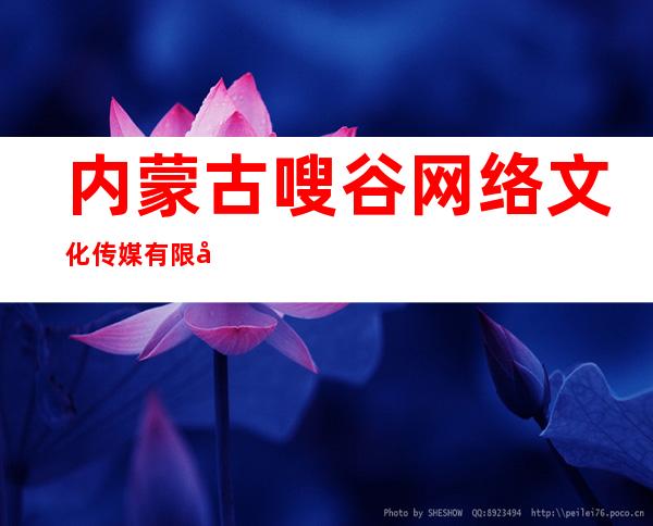 内蒙古嗖谷网络文化传媒有限公司