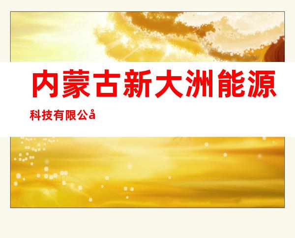 内蒙古新大洲能源科技有限公司