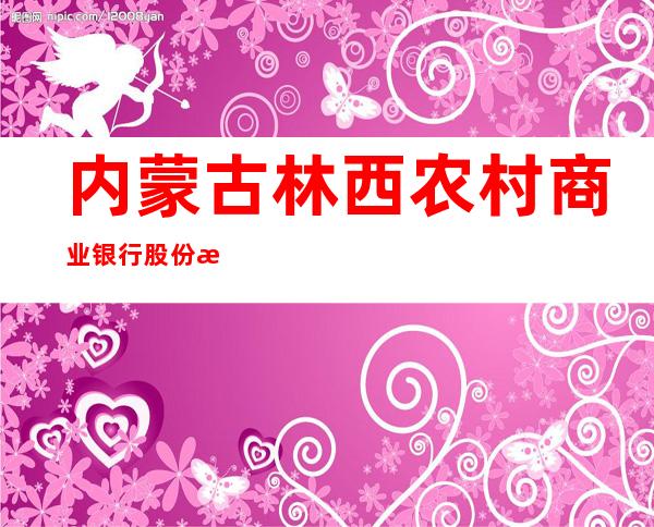 内蒙古林西农村商业银行股份有限公司惠民支行