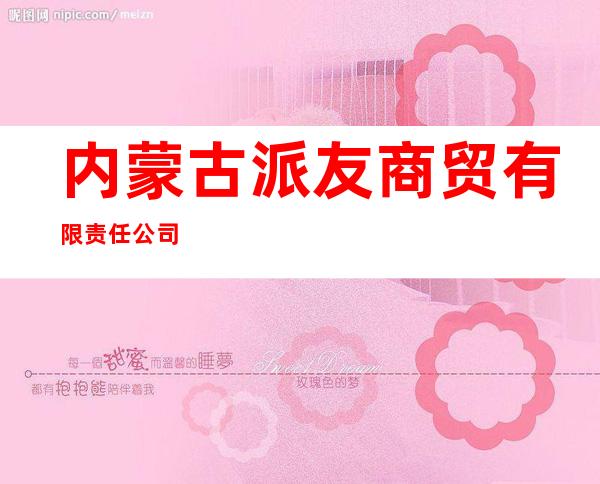 内蒙古派友商贸有限责任公司